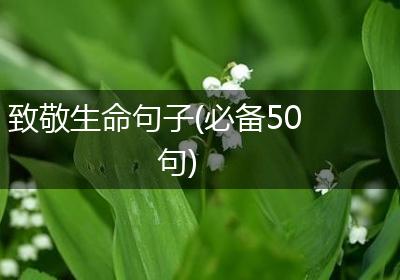 致敬生命句子(必备50句)
