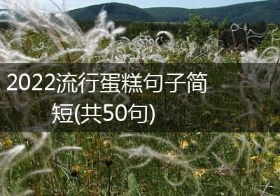 2022流行蛋糕句子简短(共50句)