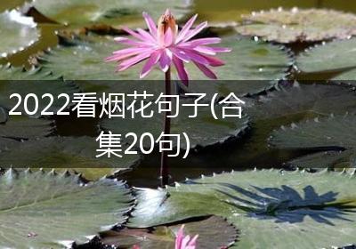 2022看烟花句子(合集20句)
