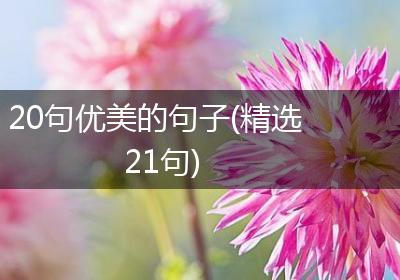 20句优美的句子(精选21句)