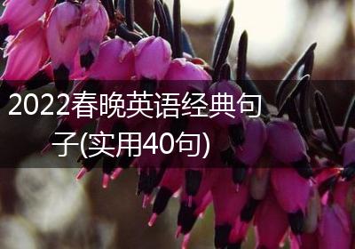2022春晚英语经典句子(实用40句)