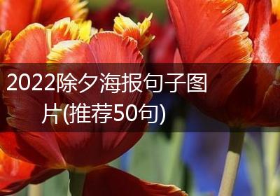 2022除夕海报句子图片(推荐50句)