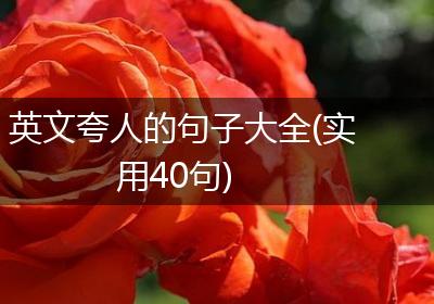 英文夸人的句子大全(实用40句)