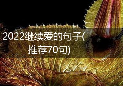 2022继续爱的句子(推荐70句)