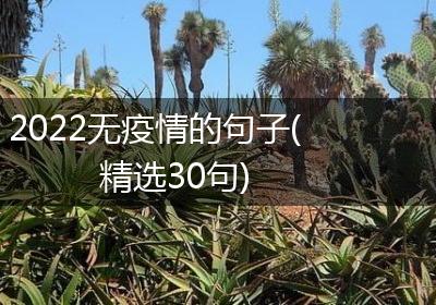 2022无疫情的句子(精选30句)