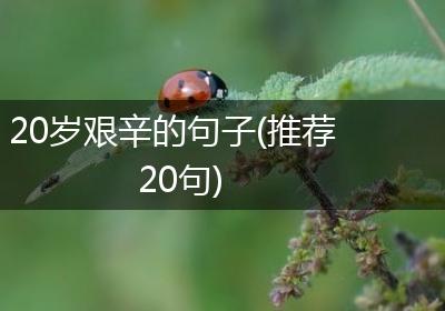 20岁艰辛的句子(推荐20句)