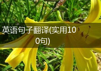 英语句子翻译(实用100句)
