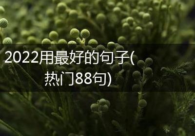 2022用最好的句子(热门88句)