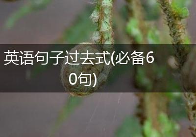英语句子过去式(必备60句)