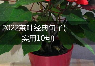 2022茶叶经典句子(实用10句)