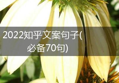 2022知乎文案句子(必备70句)