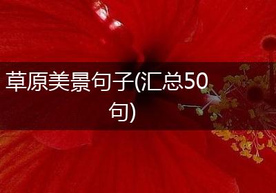 草原美景句子(汇总50句)