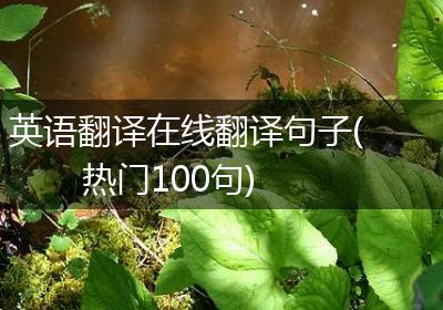 英语翻译在线翻译句子(热门100句)