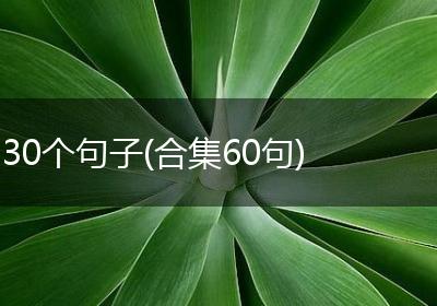 30个句子(合集60句)
