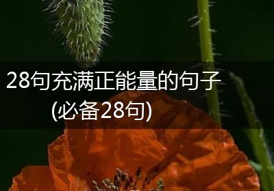 28句充满正能量的句子(必备28句)