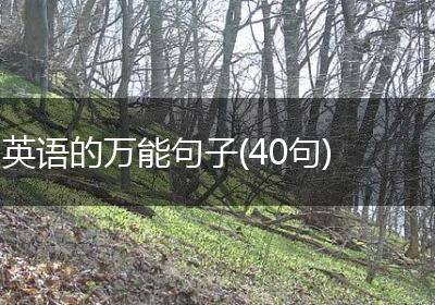 英语的万能句子(40句)