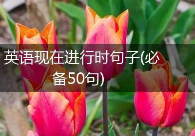 英语现在进行时句子(必备50句)