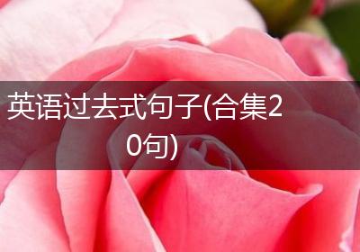 英语过去式句子(合集20句)