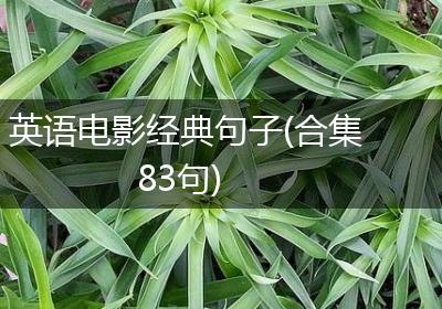 英语电影经典句子(合集83句)