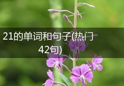 21的单词和句子(热门42句)