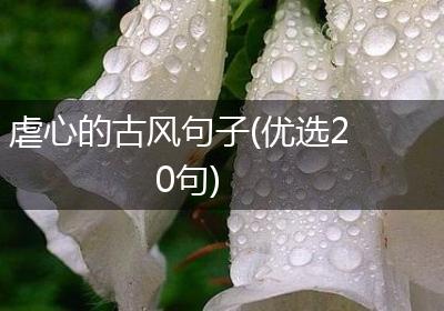 虐心的古风句子(优选20句)