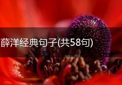 薛洋经典句子(共58句)