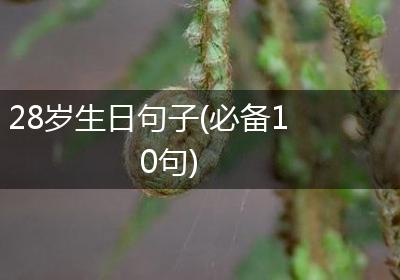 28岁生日句子(必备10句)