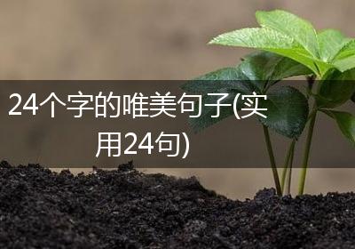 24个字的唯美句子(实用24句)