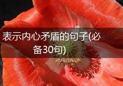 表示内心矛盾的句子(必备30句)
