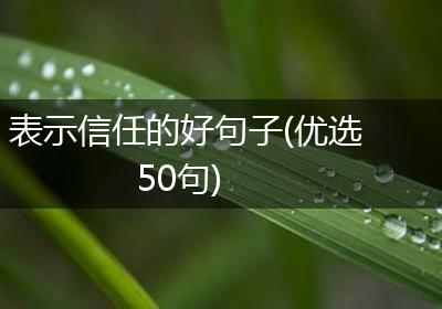 表示信任的好句子(优选50句)