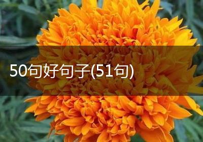 50句好句子(51句)