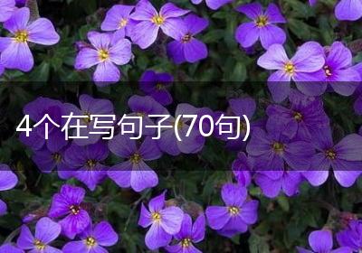 4个在写句子(70句)