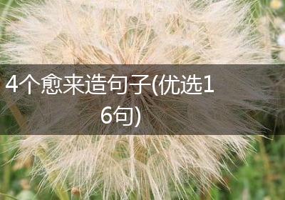 4个愈来造句子(优选16句)