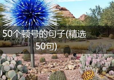 50个顿号的句子(精选50句)