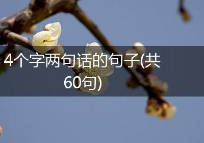 4个字两句话的句子(共60句)