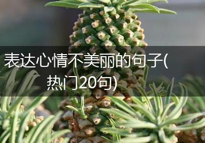 表达心情不美丽的句子(热门20句)