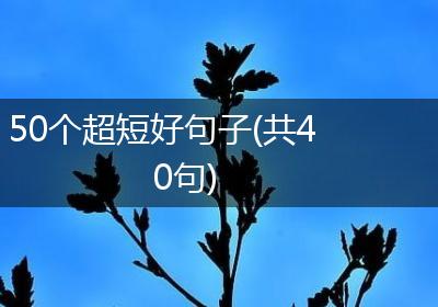 50个超短好句子(共40句)
