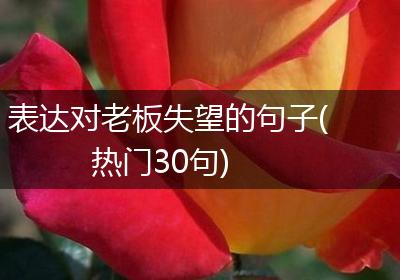 表达对老板失望的句子(热门30句)