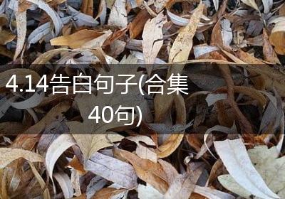 4.14告白句子(合集40句)