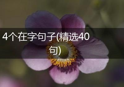 4个在字句子(精选40句)