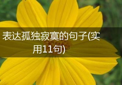 表达孤独寂寞的句子(实用11句)