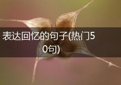 表达回忆的句子(热门50句)