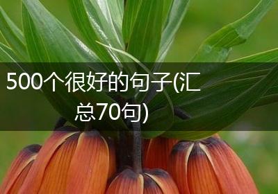 500个很好的句子(汇总70句)