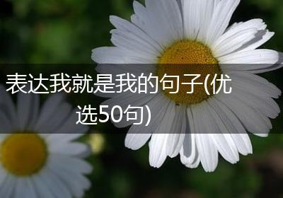 表达我就是我的句子(优选50句)