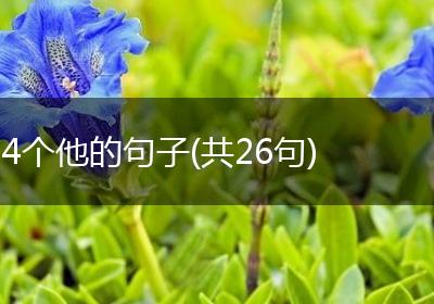 4个他的句子(共26句)