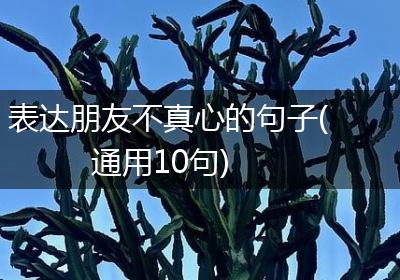 表达朋友不真心的句子(通用10句)