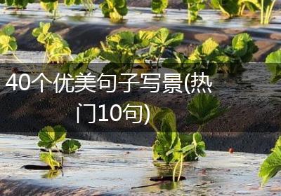 40个优美句子写景(热门10句)