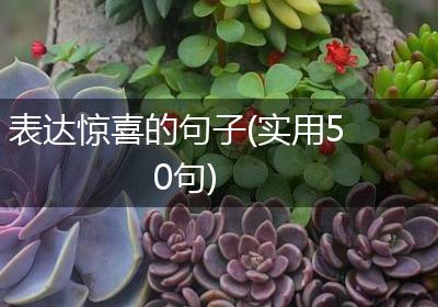 表达惊喜的句子(实用50句)