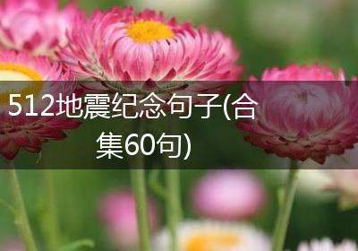 512地震纪念句子(合集60句)