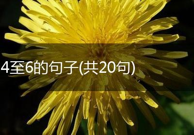 4至6的句子(共20句)